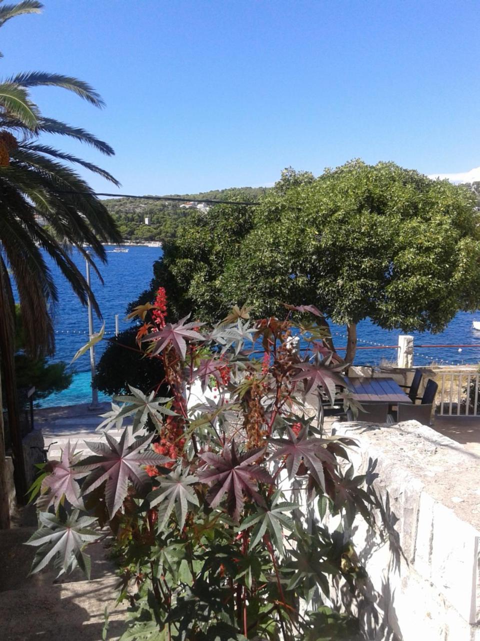 Apartman Radosic Hvar Town Luaran gambar